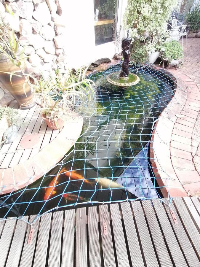 Serendipity Country House Amanzimtoti Extérieur photo